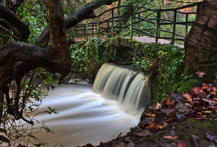 Lymm dam