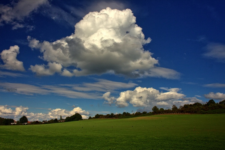 Walton meadow