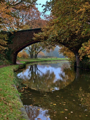 Cheshire Canal Ring Walk