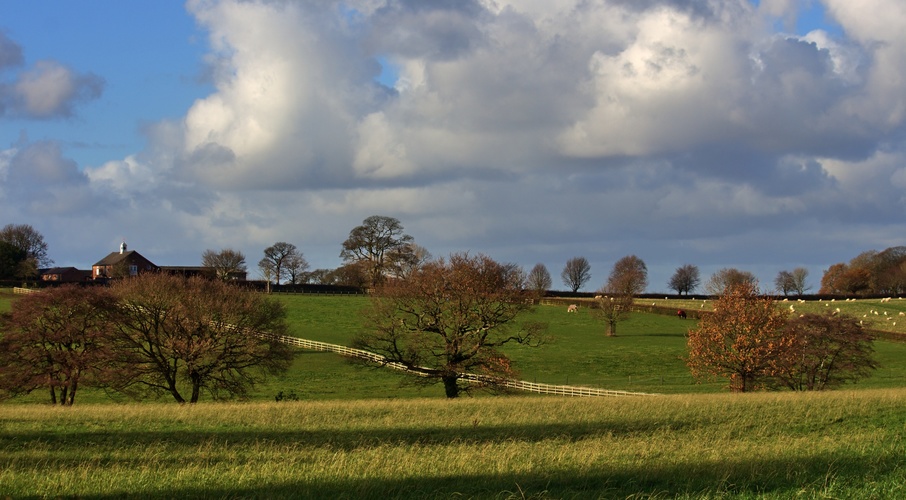 Countryside