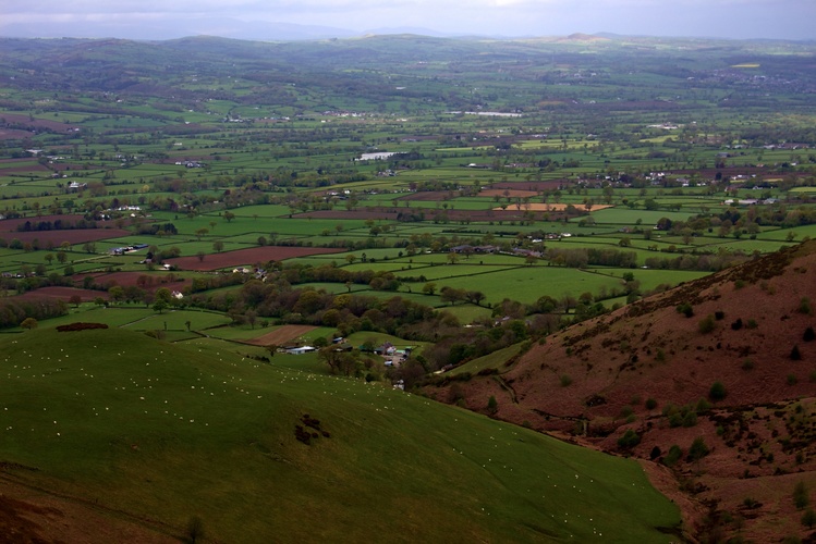 Countryside ( Wales )