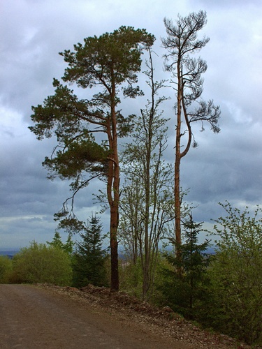 Kazdy na svoju stranu