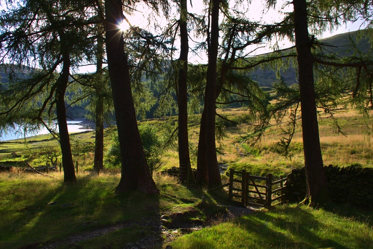 Mardale Head