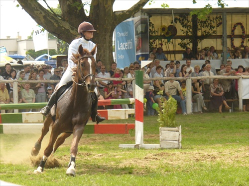 Jazdecké preteky 2007