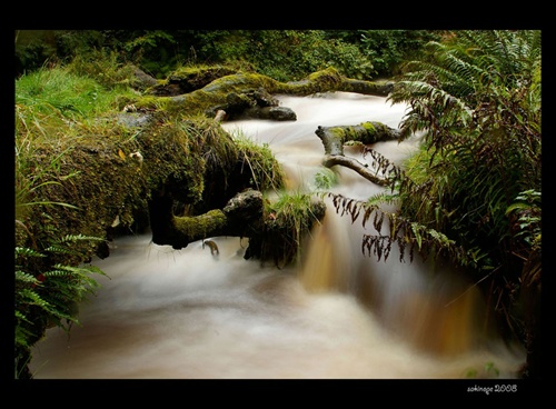 Campsie Fells Waterfall