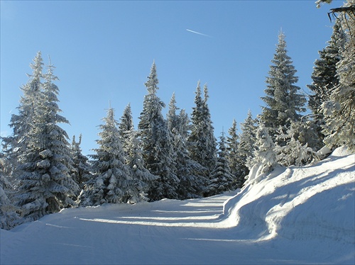 Martinské hole