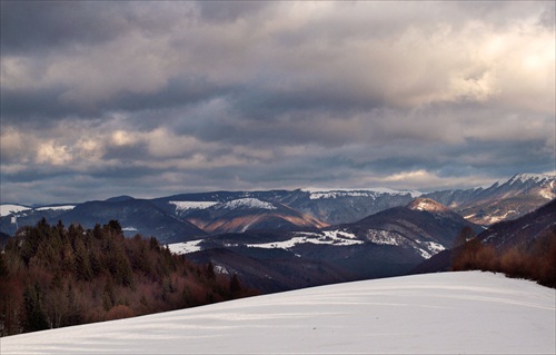 Moje najmilšie