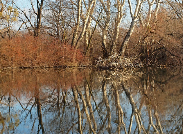 Dunajske zrkadlo