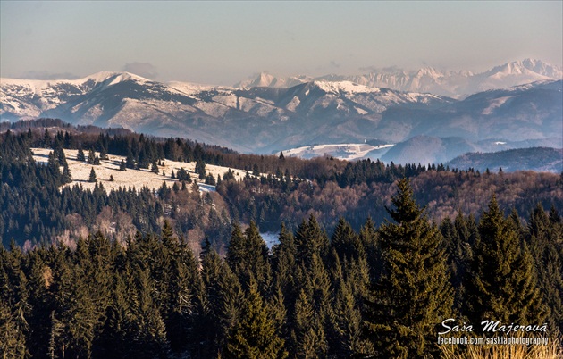 Z Bukoviny (CHKO Poľana)