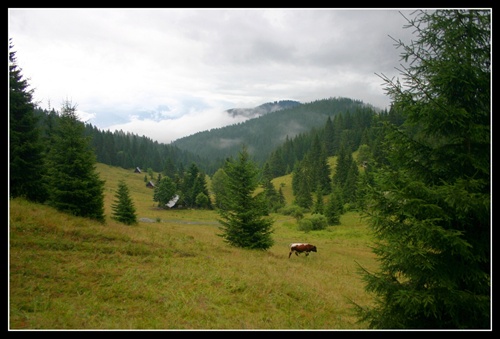 ...že by sa stratila...