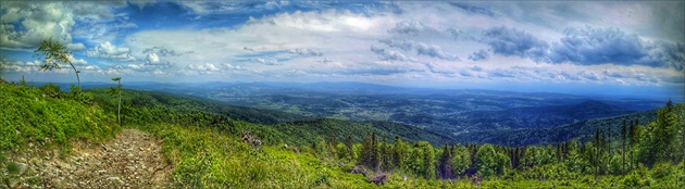 Orava Czarna (polska)