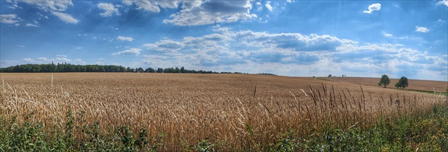 oderské vrchy (pri prameni Odry)