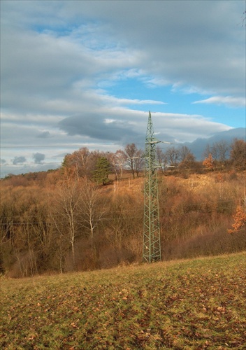 Cudzí strom