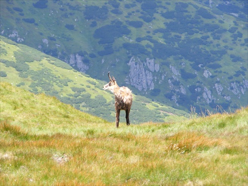 Nizke Tatry