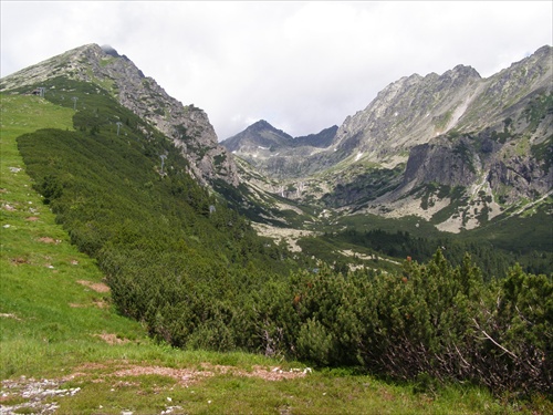 Solisko