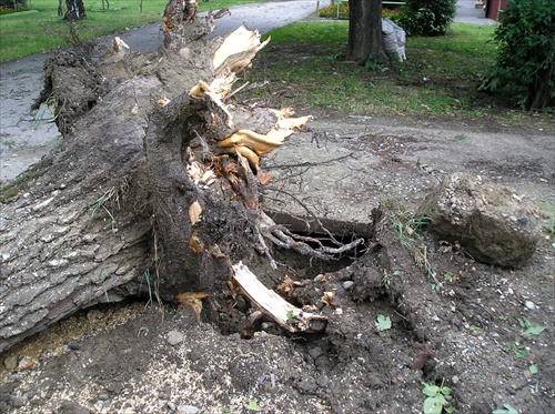 búrka v Trenčíne