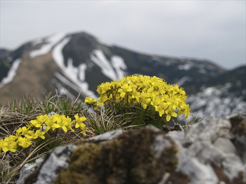 malá fatra