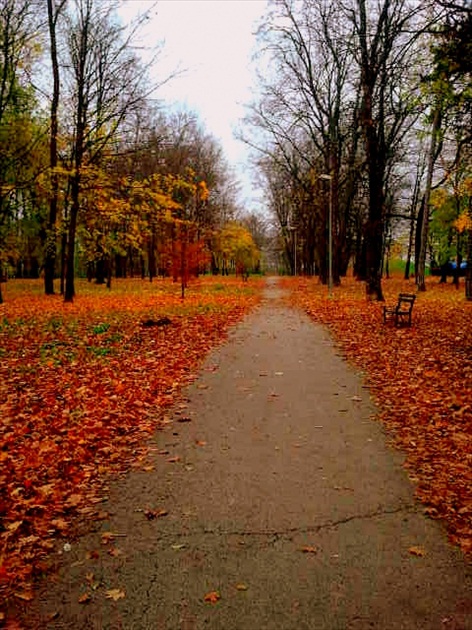 park J. Kráľa v Trnave