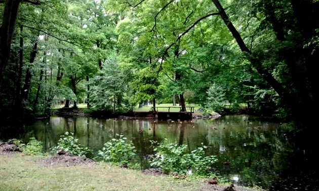 zámocký park v Pezinku