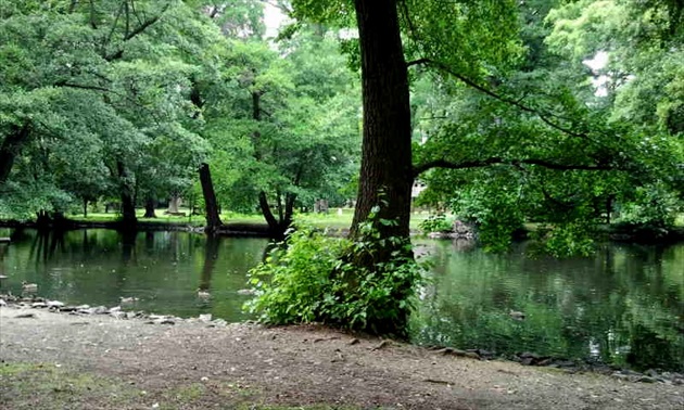 pezinský park