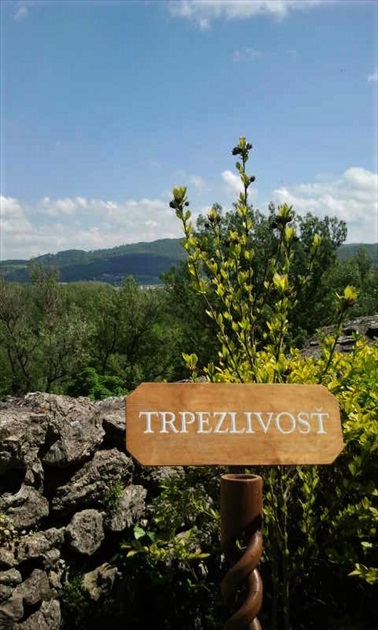 trpezlivosť