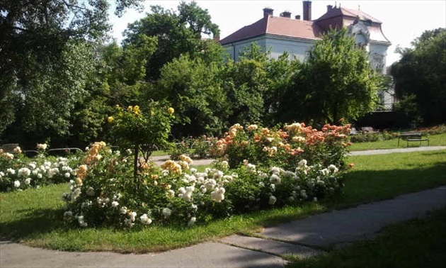 Ružový park 3