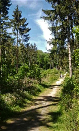 cesta na Dobrovodský hrad