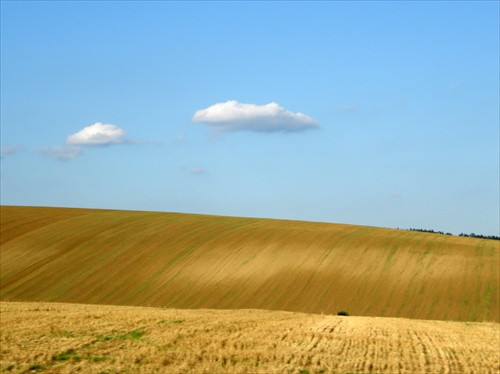 cezpoľná