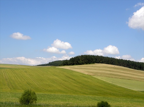 popratané, učesané ...  :-)