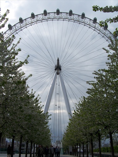 London eye