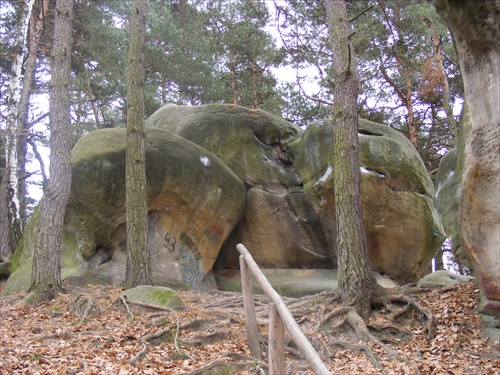 Pieczarki (Šampiňóny)