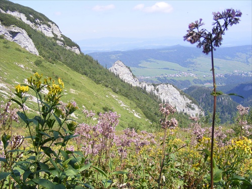 Monková dolina a Ždiar