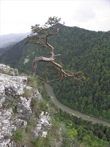 Dunajec zo Sokolice