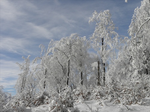 Na Bukovom vrchu