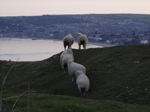 Swanage