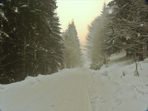 Jedna zasnezena cesticka