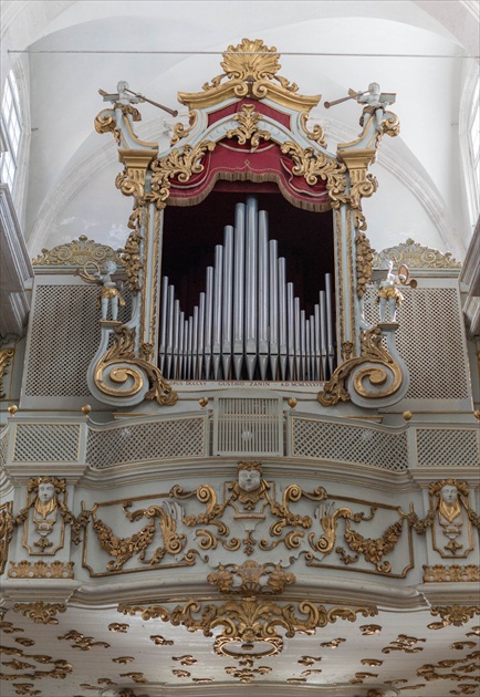 Organ