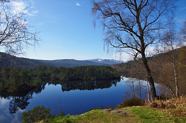 Glen Affric