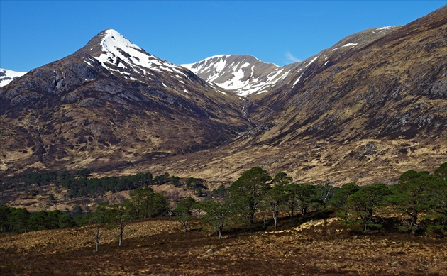 Glen Affric