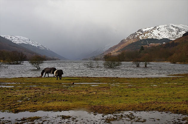 Loch Voil