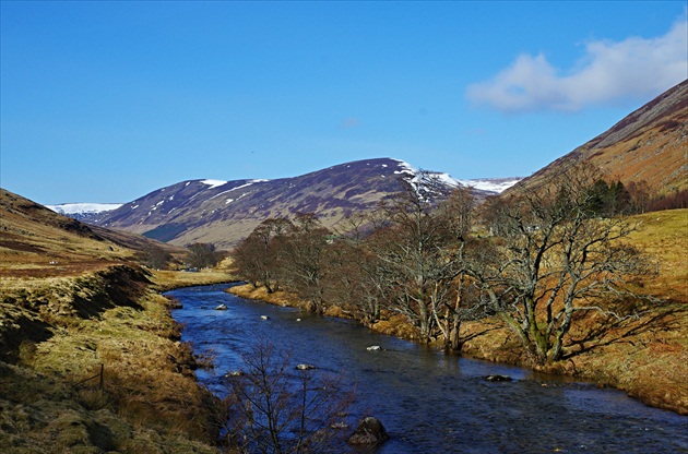 Glen Almond