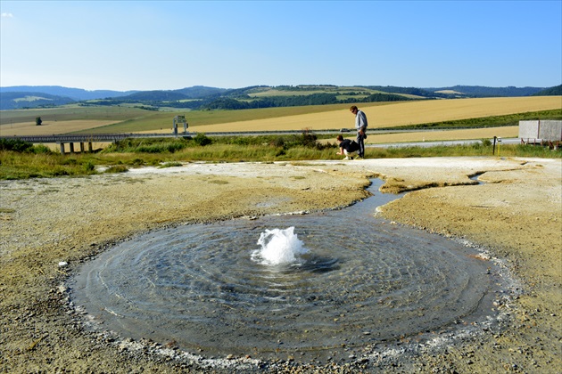 Sivá brada