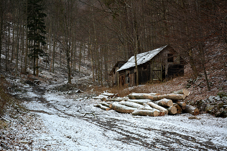 cestou na Kojšovku