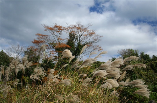 Na ostrove "Jeju" - Korea