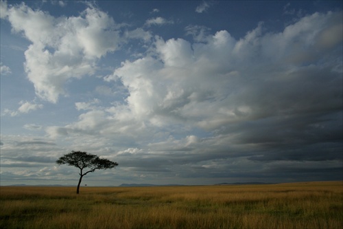 Masai Mara