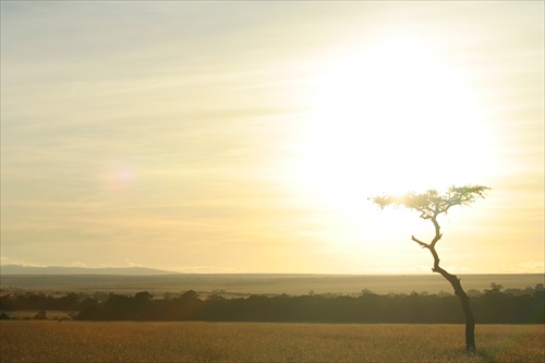 Afrika - Kenia