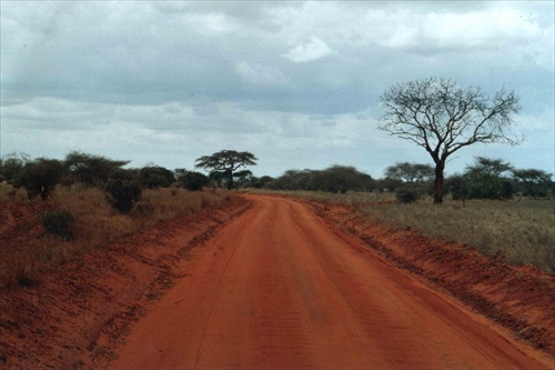 Kenya - Tsavo - Safari