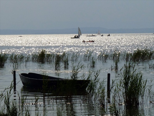 Neusiedler See