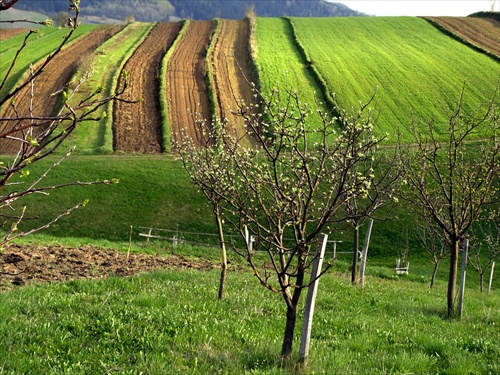 Slovensko Slovakia Krivec