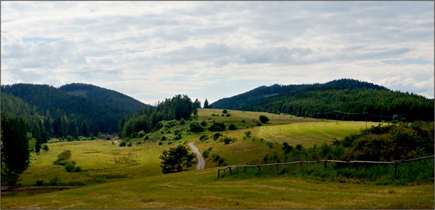 Cesta v údolí